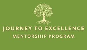 Journey to Excellence Mentorship Program