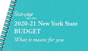 2020-21 New York State Executive Budget