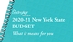 2020-21 New York State Executive Budget